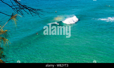 Les surfeurs attraper une vague dans l'eau bleue cristalline Banque D'Images