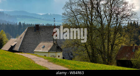 Vieille Forêt Noire ferme près de Hinterzarten, Allemagne Banque D'Images