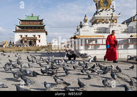 L'alimentation de l'homme pigeons sauvages (Columba livia) en face de monastère de Gandan, Oulan Bator, Mongolie, Septembre Banque D'Images