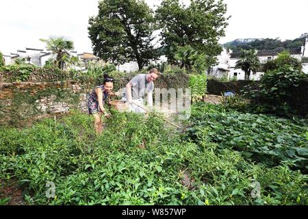 L'homme britannique Edward Gawne, droite, et sa fiancée chinoise Liao Minxin travailler dans leur potager dans Sixi Village, Wuyuan county, la ville de Shangrao, EAS Banque D'Images