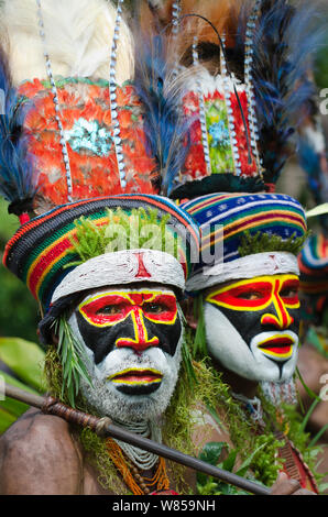 Les artistes interprètes ou exécutants de l'Anglimp Tribal en Province District Waghi de Sing-sing - Hagen Show, hautes terres de l'Ouest, la Papouasie-Nouvelle-Guinée, Août 2011 Banque D'Images