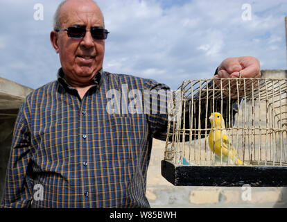 Albert Dimech, avec le pet Canary (Serinus canaria) Malte, mars 2012. Banque D'Images