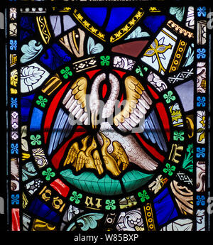 19e siècle vitrail dans la chapelle de St Cuthbert intérieure sur l'île de Farne, Northumberland illustrant le Pelican-dans-sa-piété. Le Pélican-dans-sa-Piété est une représentation allégorique de Jésus Christ, en présentant à la fois son amour de sacrifice et de la résurrection. Banque D'Images