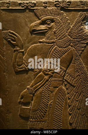 Mur sculpté relief représentant un aigle dirigé esprit protecteur du Temple de Ninurta, Nimrud la capitale assyrienne dans le Nord de l'Iraq, datant de 865 -860 av. Banque D'Images