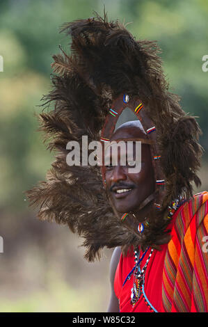 Kitkung Nampaso, un guerrier Massaï portant des plumes d'Autruche (Strutio) robe tête comme Euonoto portés lors du dernier stade de guerrier-hood, Masai Mara, Kenya, août 2010. Banque D'Images