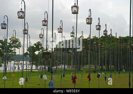 Des cages de Colombes pacifiques (Geopelia placida) sur les grands postes, Bedok Park, Singapore, juillet 2011. Banque D'Images