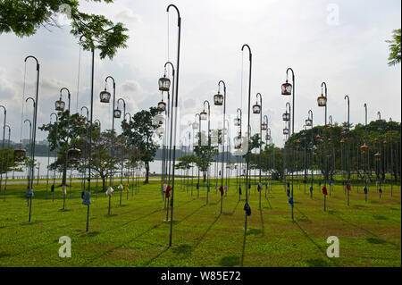 Des cages de Colombes pacifiques (Geopelia placida) sur les grands postes, Bedok Park, Singapore, juillet 2011. Banque D'Images