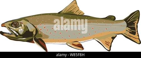 La truite Dolly Varden un poissons trouvés dans les lacs et rivières en Amérique du nord avec la bouche ouverte et plusieurs palmes Illustration de Vecteur