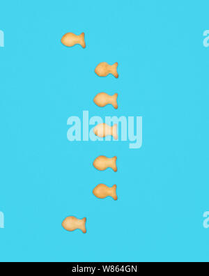 Support Sign ) à partir des cookies en forme de poisson sur fond bleu Banque D'Images