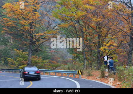 --FILE--paysage de Shennongjia Réserve naturelle nationale à l'automne dans le district forestier de Shennongjia du centre de la Chine la province du Hubei, 25 Octobre 2015 Banque D'Images