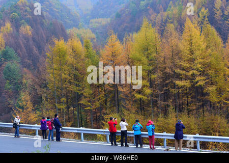 --FILE--touristes de prendre des photos de paysage de Shennongjia Réserve naturelle nationale à l'automne dans le district forestier de Shennongjia du centre de la Chine Hubei p Banque D'Images