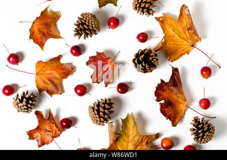 Les feuilles d'automne jaune vif, des châtaignes, des pommes de pin et orange physalis fleurs sur un fond blanc avec copie espace pour le texte. Belle image d'automne. Banque D'Images