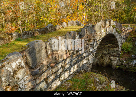 Vieux pont de pierre traversant une rivière aux couleurs de l'automne dans les bois Banque D'Images