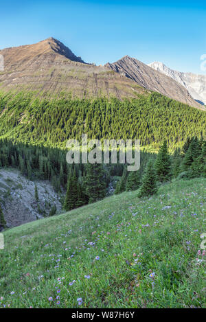 Col de la rivière Highwood en parc provincial Peter Lougheed, l'Alberta, Canada Banque D'Images