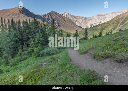 Col de la rivière Highwood en parc provincial Peter Lougheed, l'Alberta, Canada Banque D'Images