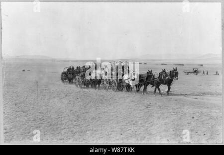 Infanterie 5e wagon train désert traversée au cours de l'expédition américaine au Mexique Villa 23-08-2003 Banque D'Images