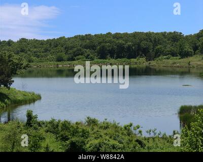 Jolie vue sur un lac à Chickasaw National Recreation Area in Davis, Illinois Banque D'Images