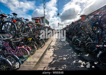 Nombreux vélos en location, rack rack haute, stationnement pour bicyclettes, Amsterdam, Pays-Bas Banque D'Images