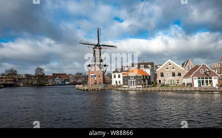 Adriaan De moulin sur la rivière Spaarne, Haarlem, Hollande du Nord, Pays-Bas Banque D'Images