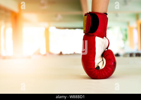 Old Red boxing gloves knock out le sol Banque D'Images