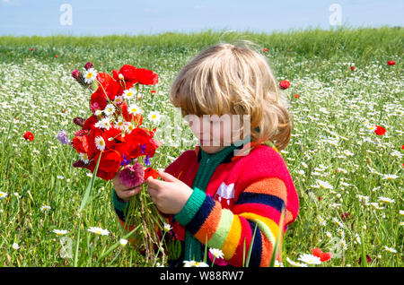 Belle blonde enfant sur marguerite blanche prairie avec bouquet de fleurs Banque D'Images