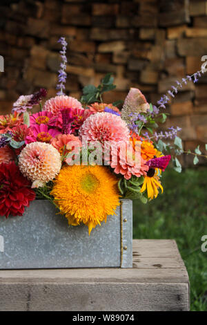 Arrangement coloré de fleurs mixtes dans la boîte devant le fond de bois à l'extérieur Banque D'Images