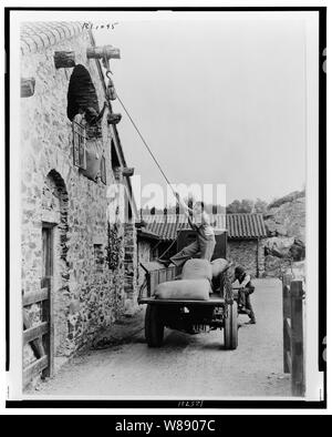 Surprise Valley Farm, Arthur James Curtiss propriété, Beacon Hill Road, Newport, Rhode Island. Chargement hommes sacs de grain d'un camion dans la cour en deuxième étage porte de grange Banque D'Images