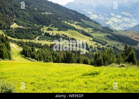 Alpages et sapins en Autriche, Alpes Banque D'Images