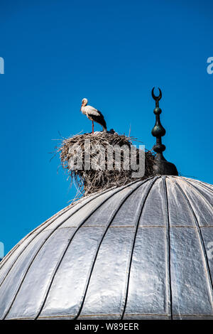 Une cigogne avec ses oursons et le nid sur le dôme d'une mosquée dans la ville d'Igdir, capitale de province Igdır dans l'Est de la Turquie l'Anatolie Banque D'Images