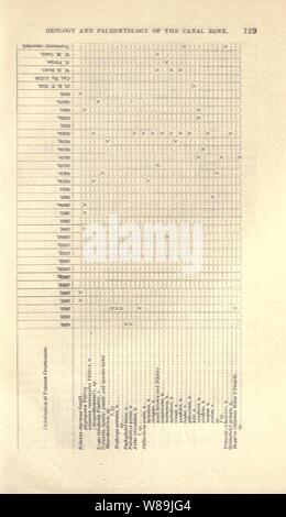 Crustacés Décapodes à partir de la région de Panama (page 129) Banque D'Images