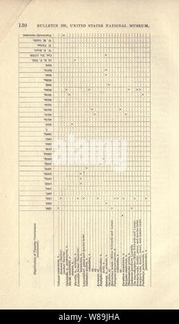 Crustacés Décapodes à partir de la région de Panama (page 130) Banque D'Images