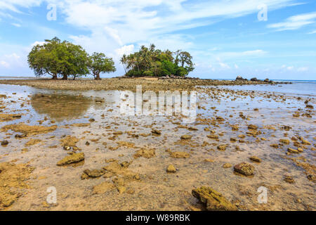 Arbres sur une île rocheuse, Nai Yang Beach, Phuket, Thailand Banque D'Images