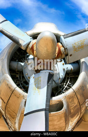 Moteur en étoile Wright R-3550 sur l'aile d'un Lockheed L1049 Constellation Banque D'Images