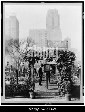 Jardin de démonstration, Bryant Park, 42ème rue et la 5ème Avenue, New York, New York. Les visiteurs d'étudier le jardinage Avis importants Banque D'Images