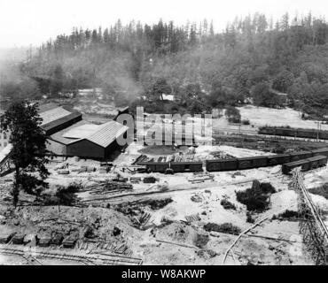 Denny Renton et le charbon argile vitrifiée Co usine à Renton, 18 août 1910 (CURTIS 1759). Banque D'Images