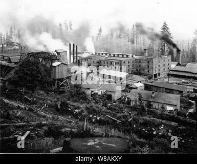 Denny-Renton l'argile et le charbon Co Brick and Tile plant Taylor Washington (Curtis) 315. Banque D'Images