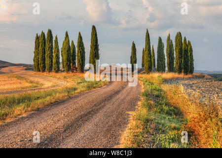 San Quirico, Toscane, Italie, Europe Banque D'Images