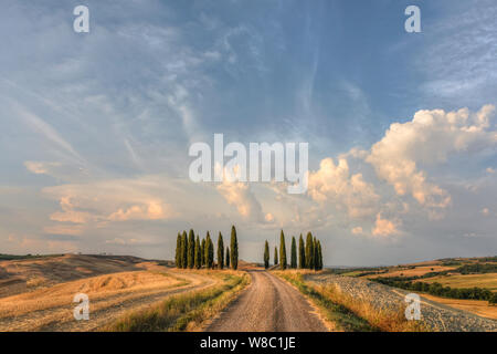 San Quirico, Toscane, Italie, Europe Banque D'Images