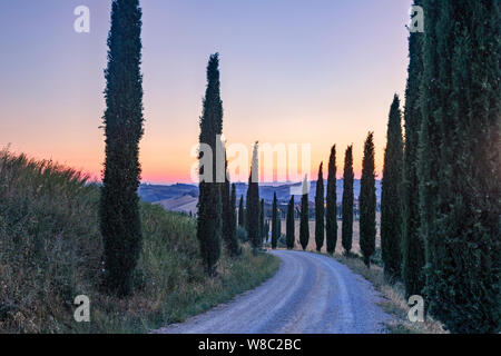 Asciano, Toscane, Italie, Europe Banque D'Images