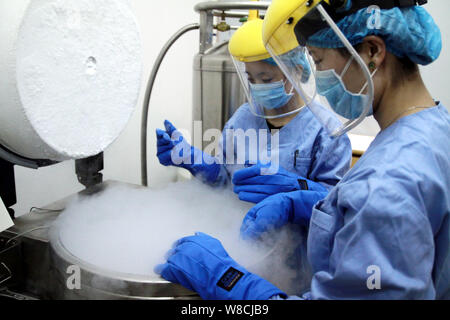 --FILE--chercheurs chinois vérifier le don de sperme est congelé dans un récipient spécial dans le laboratoire d'une banque de sperme à Shenyang, ville du nord-est de la Chine Lia Banque D'Images