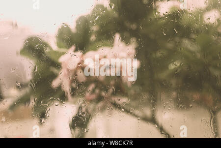 Gouttes de pluie sur la surface du panneau de verre fenêtre humide en saison des pluies. Résumé fond. Modèle naturel des gouttes isolées de plantes fleurs floues un Banque D'Images