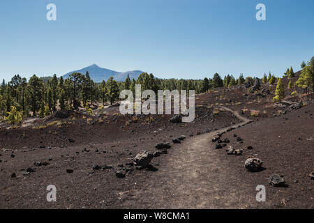 Chemin de randonnée sur le champ de lave avec forêt et montagne Banque D'Images