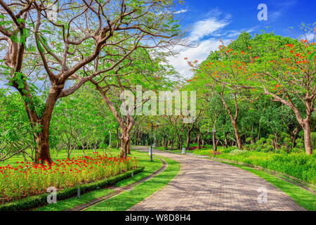 Le chemin est aménagé avec une chaussée de pierre dans un magnifique parc verdoyant Banque D'Images