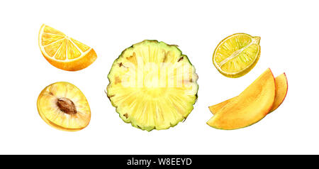 Série de coupes demi-fruits ananas mangue jaune orange citron botanique illustration aquarelle réaliste prune juteuse isolated on white hand drawn, tropical Banque D'Images