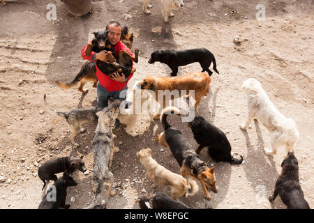 Ancien homme millionnaire chinois Wang Yan (homme) pose avec des chiens qui ont été sauvés par lui à partir de l'abattoir à son animal rescue center de Changchu Banque D'Images