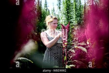 Berlin, Allemagne. 09Th Aug 2019. Fanny Müller mène à travers le labyrinthe des plantes 'BfR-Eiland'. Le thème de cette année, le labyrinthe est sur des œufs et du poulet. Credit : Britta Pedersen/dpa-Zentralbild/dpa/Alamy Live News Banque D'Images