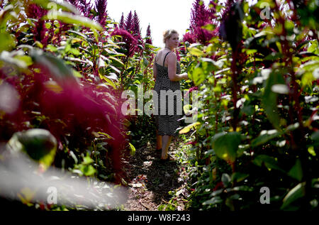Berlin, Allemagne. 09Th Aug 2019. Fanny Müller, mène à travers le labyrinthe des plantes 'BfR-Eiland'. Le thème de cette année, le labyrinthe est sur des œufs et du poulet. Credit : Britta Pedersen/dpa-Zentralbild/dpa/Alamy Live News Banque D'Images