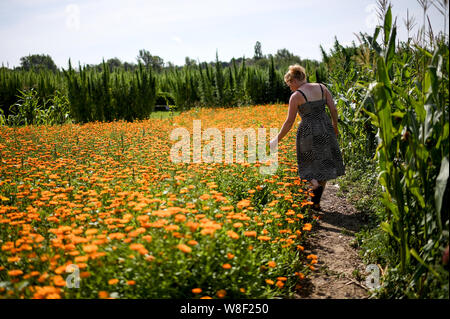 Berlin, Allemagne. 09Th Aug 2019. Fanny Müller, mène à travers le labyrinthe des plantes 'BfR-Eiland'. Le thème de cette année, le labyrinthe est sur des œufs et du poulet. Credit : Britta Pedersen/dpa-Zentralbild/dpa/Alamy Live News Banque D'Images