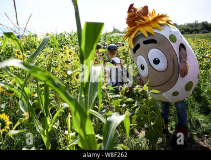 Berlin, Allemagne. 09Th Aug 2019. La mascot passe à travers le labyrinthe des plantes 'BfR-Eiland'. Le thème de cette année, le labyrinthe est sur des œufs et du poulet. Credit : Britta Pedersen/dpa-Zentralbild/dpa/Alamy Live News Banque D'Images