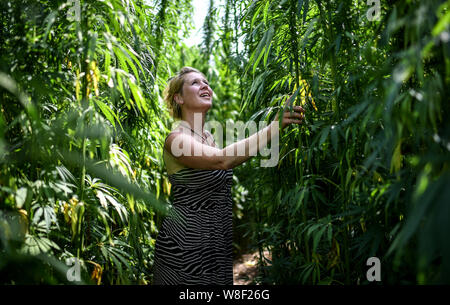 Berlin, Allemagne. 09Th Aug 2019. Fanny Müller, mène à travers le labyrinthe des plantes 'BfR-Eiland'. Le thème de cette année, le labyrinthe est sur des œufs et du poulet. Credit : Britta Pedersen/dpa-Zentralbild/dpa/Alamy Live News Banque D'Images